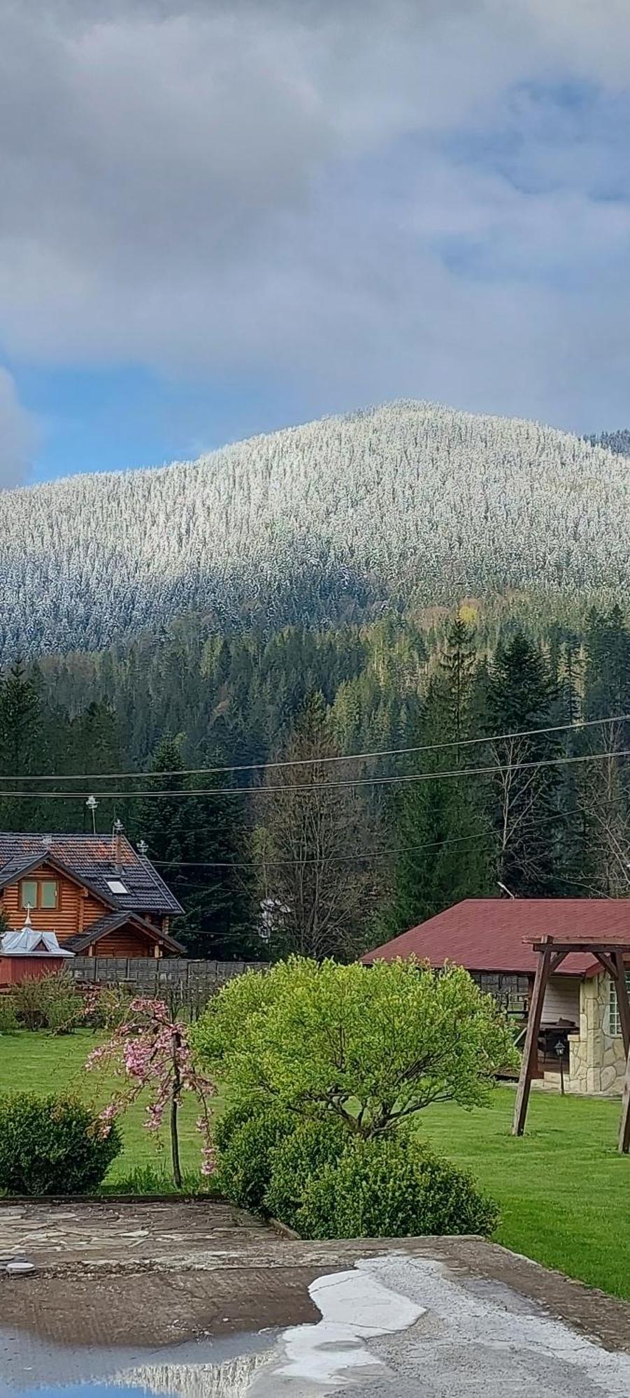 Guesthouse Kolo Druziv 타타리브 외부 사진