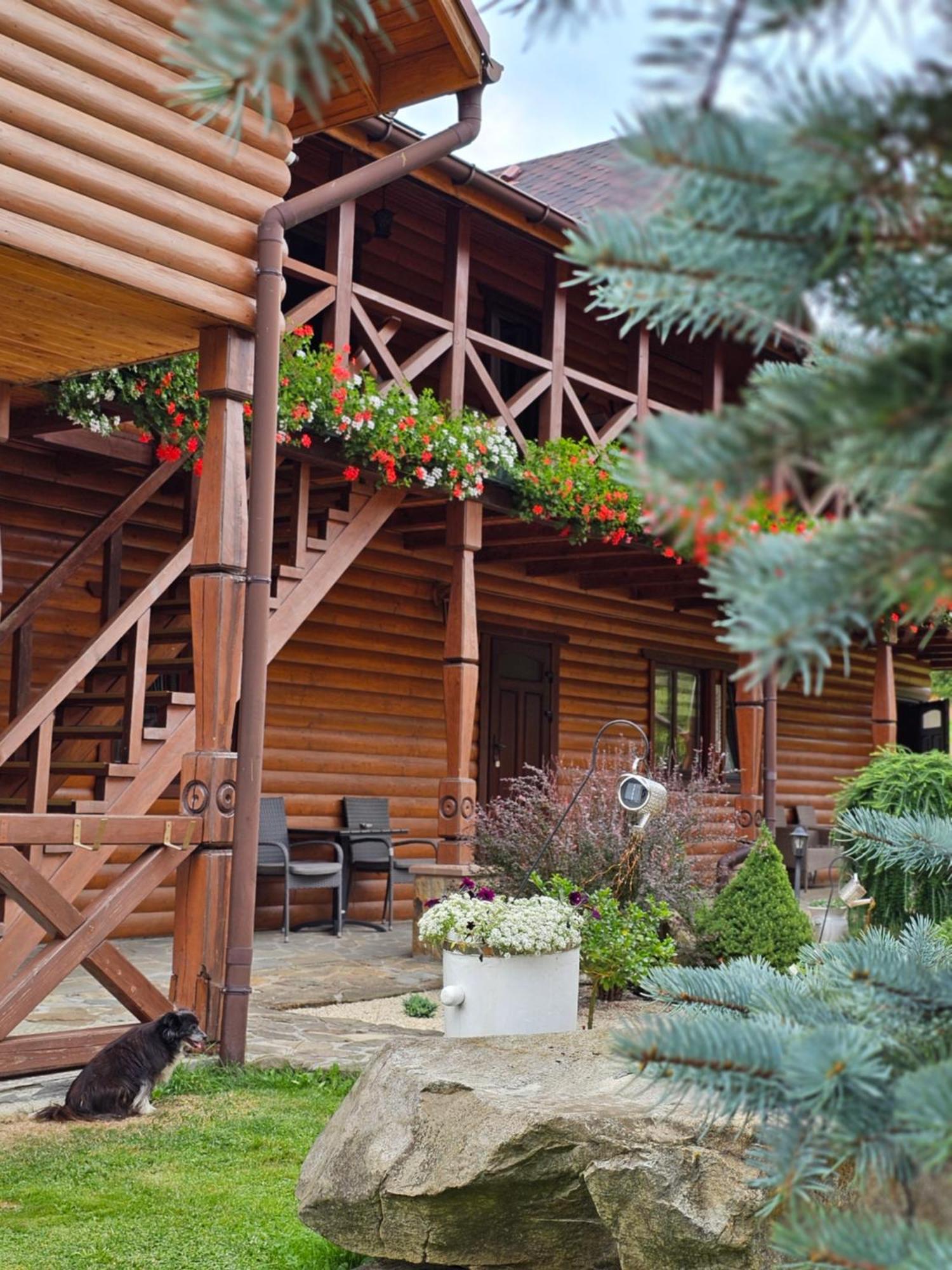 Guesthouse Kolo Druziv 타타리브 외부 사진